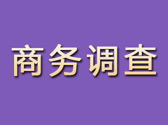 洪泽商务调查